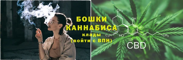 стаф Медногорск