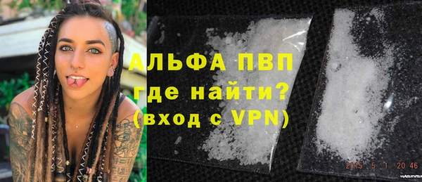 гашик Арсеньев