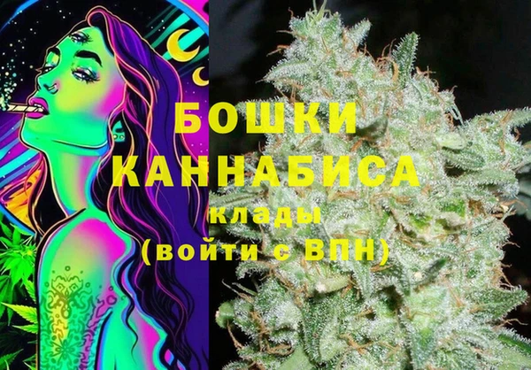 гашик Арсеньев