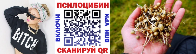 магазин продажи   Асино  Галлюциногенные грибы прущие грибы 